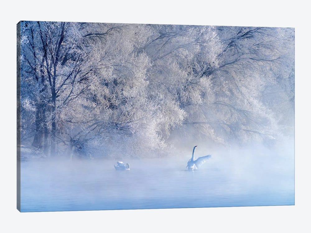 Swan Lake by Hua Zhu 1-piece Art Print