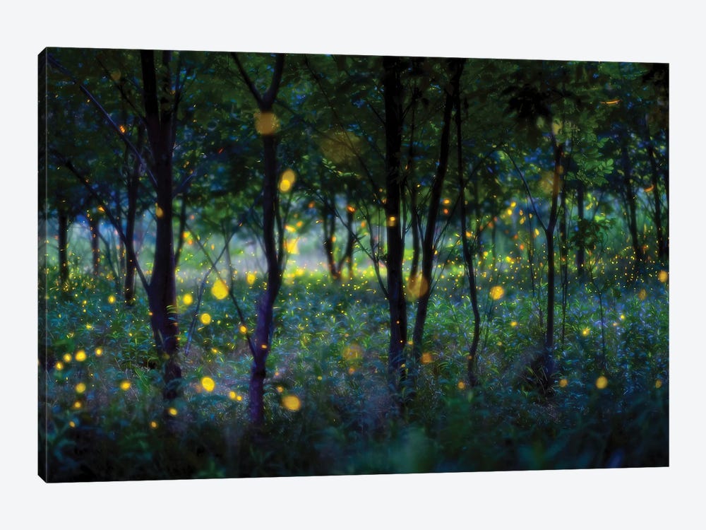 Magic Fireflies by Hua Zhu 1-piece Art Print