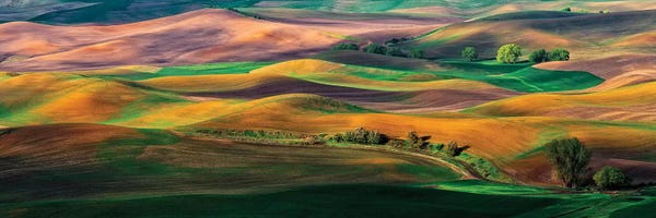 Hillsides: The Palouse by Hua Zhu