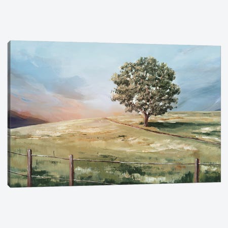 Sunset Tree Canvas Print #IAC12} by Ian C Canvas Art Print