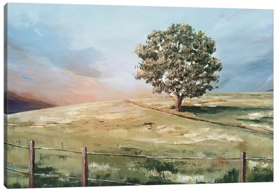 Sunset Tree Canvas Art Print - Countryside Art