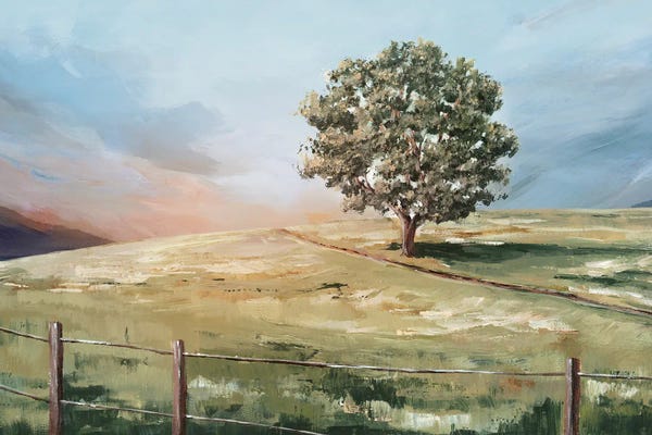 Ian C