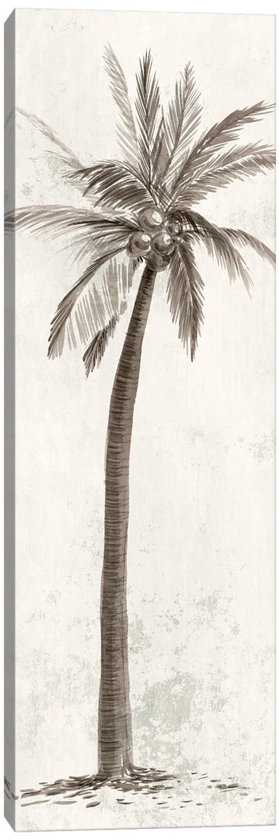 Vintage Palm Tree II Canvas Art Print