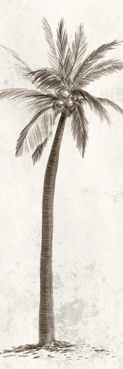 Vintage Palm Tree II