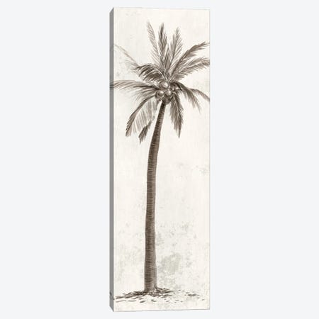 Vintage Palm Tree II Canvas Print #IAC5} by Ian C Canvas Art