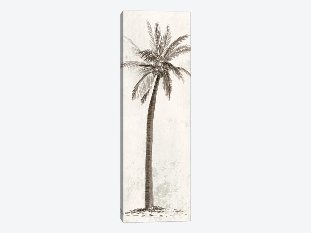 Vintage Palm Tree II by Ian C 1-piece Canvas Print
