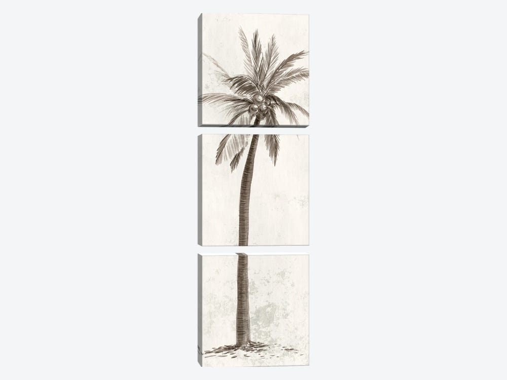 Vintage Palm Tree II by Ian C 3-piece Canvas Art Print