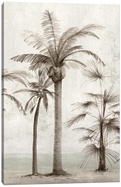 Vintage Palm Trees I Canvas Art Print