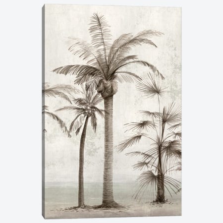Vintage Palm Trees I Canvas Print #IAC6} by Ian C Canvas Art