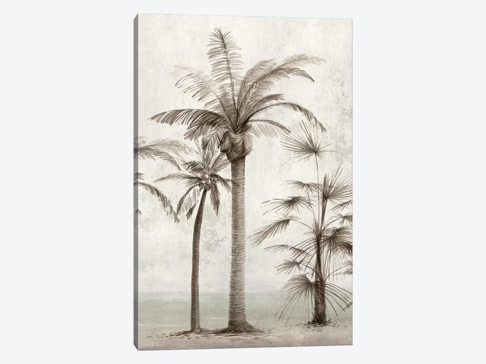 Vintage Palm Trees I by Ian C 1-piece Canvas Wall Art