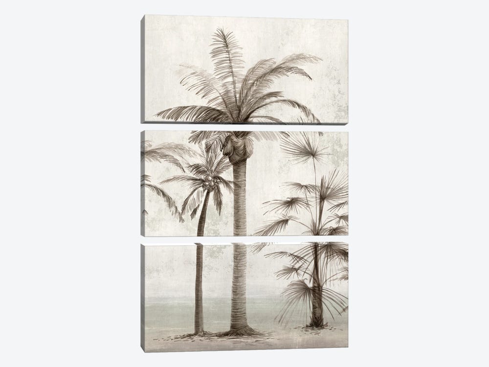 Vintage Palm Trees I by Ian C 3-piece Canvas Wall Art