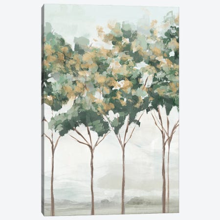 Green and Gold Trees II Canvas Print #IAC8} by Ian C Art Print