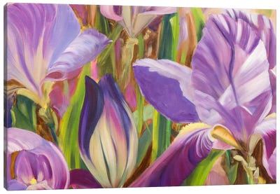 Iris Details I Canvas Art Print - Sandra Iafrate