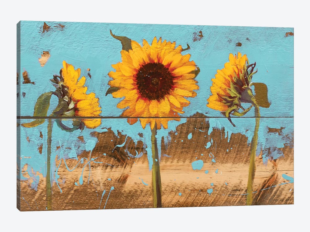 Sunflowers On Wood IV by Sandra Iafrate 1-piece Canvas Art Print