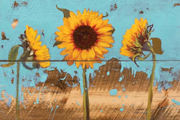 Sandra Iafrate: Sunflowers On Wood IV by Sandra Iafrate