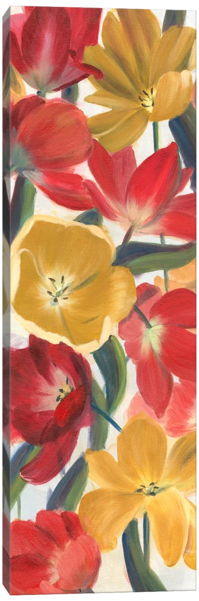 Tulip Array Panel I Canvas Art Print