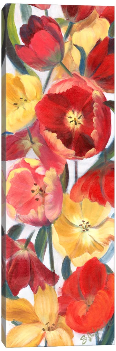 Tulip Array Panel II Canvas Art Print - Sandra Iafrate