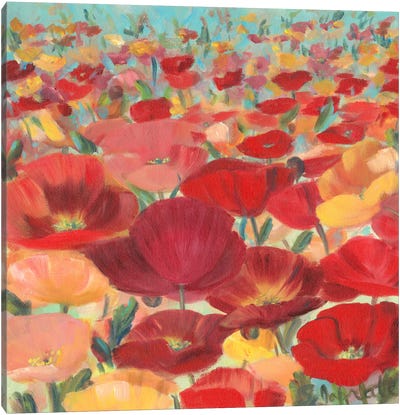 Wild Flower Field II Canvas Art Print - Sandra Iafrate