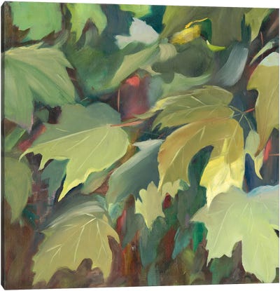 Leaf Array I Canvas Art Print - Sandra Iafrate