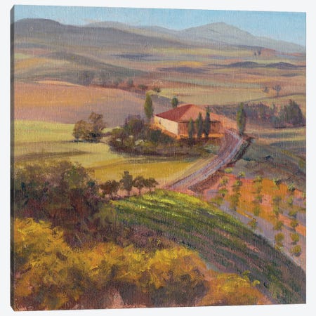 Nostalgic Tuscany I Canvas Print #IAF26} by Sandra Iafrate Canvas Artwork