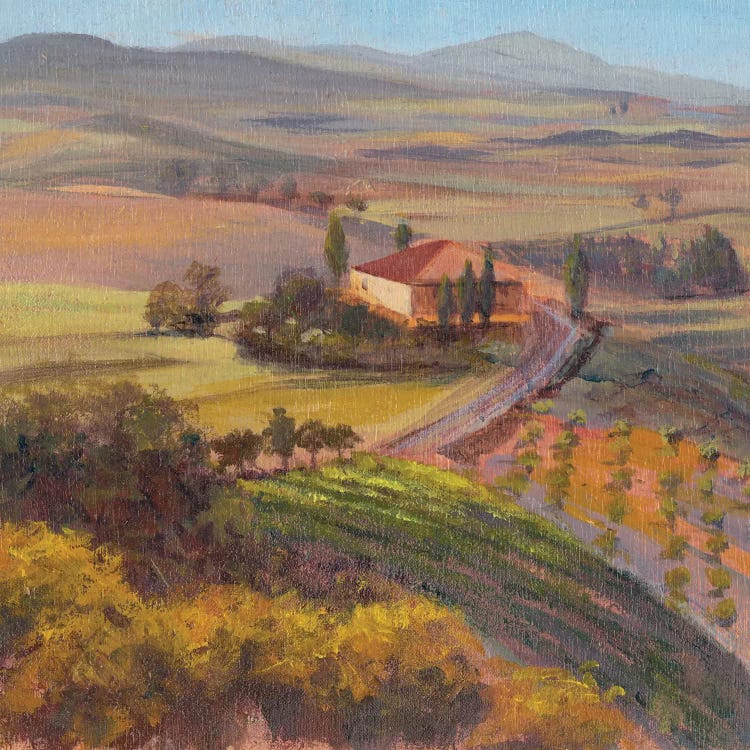 Nostalgic Tuscany I by Sandra Iafrate wall art