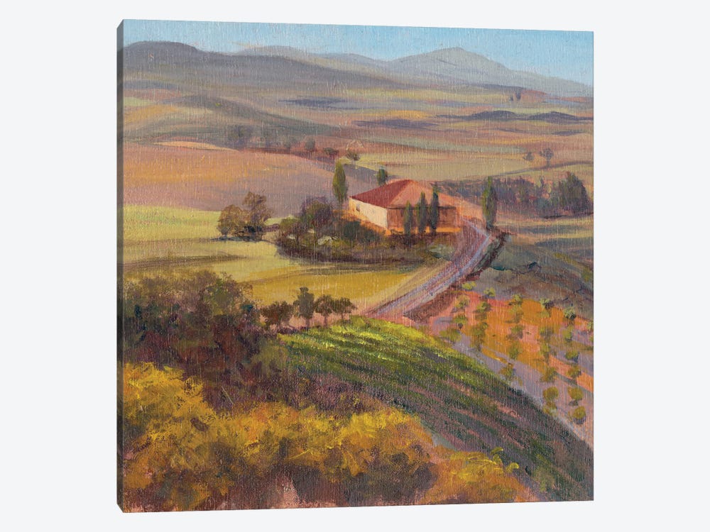 Nostalgic Tuscany I by Sandra Iafrate 1-piece Canvas Art Print