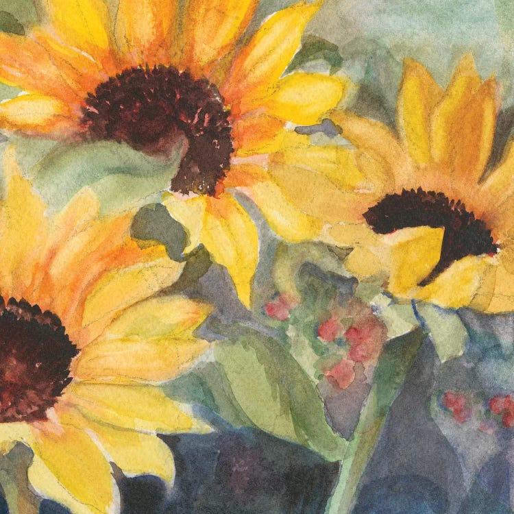 Sunflowers In Watercolor II by Sandra Iafrate wall art