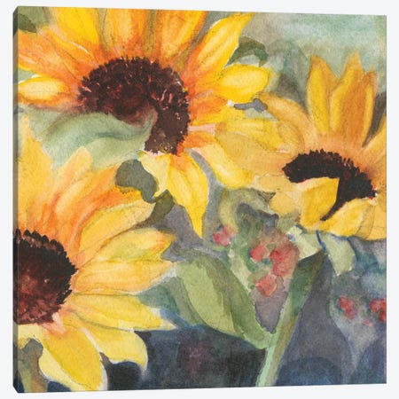 Sunflowers In Watercolor II Canvas Print #IAF30} by Sandra Iafrate Canvas Wall Art