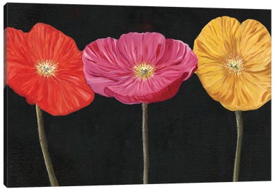 Poppy Trio II Canvas Art Print