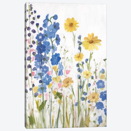 Periwinkle Wildflowers I Canvas Print #IAF35} by Sandra Iafrate Canvas Art Print