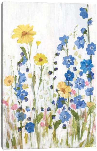 Periwinkle Wildflowers II Canvas Art Print - Sandra Iafrate