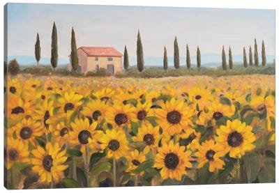 Tuscan Memories I Canvas Art Print - Sandra Iafrate