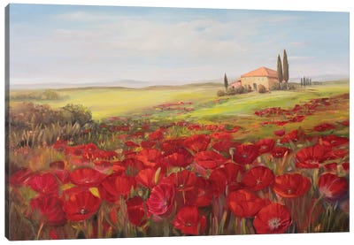 Tuscan Memories II Canvas Art Print - Poppy Art