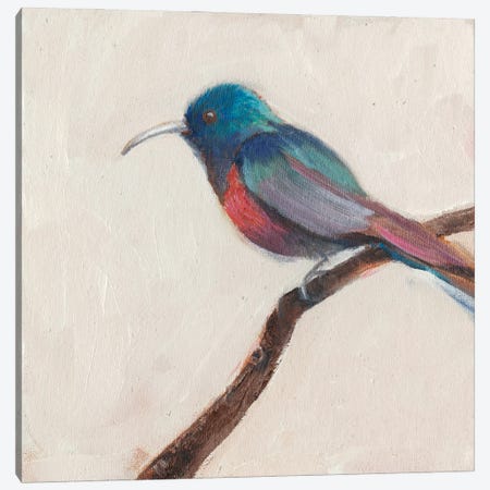 Bird Profile I Canvas Print #IAF4} by Sandra Iafrate Canvas Print