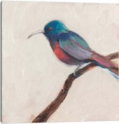 Bird Profile I Canvas Art Print - Sandra Iafrate