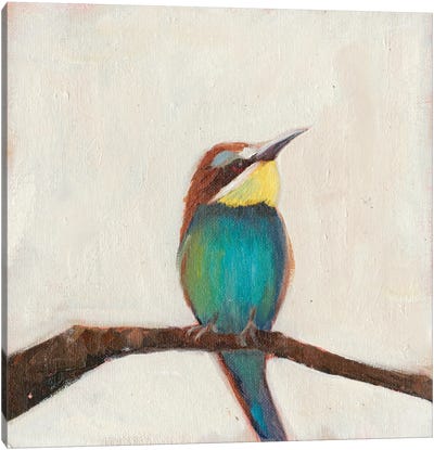 Bird Profile II Canvas Art Print - Sandra Iafrate