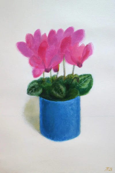 Cyclamen Flowers by Ieva Baklane framed canvas print