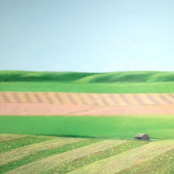Ieva Baklane: Spring Fields by Ieva Baklane