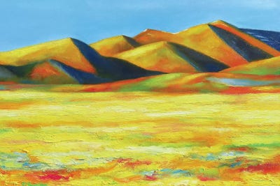 Distant Foothills by Ieva Baklane framed canvas print