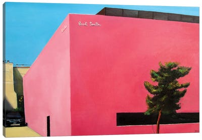 Pink Wall Canvas Art Print - Pantone Living Coral 2019