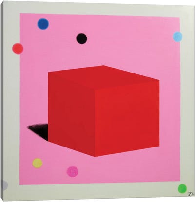 Red Cube Canvas Art Print - Ieva Baklane