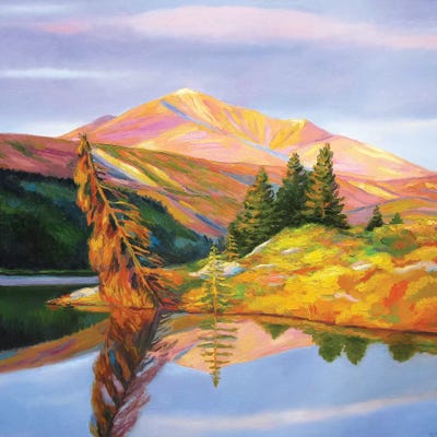 Reflection by Ieva Baklane framed canvas print