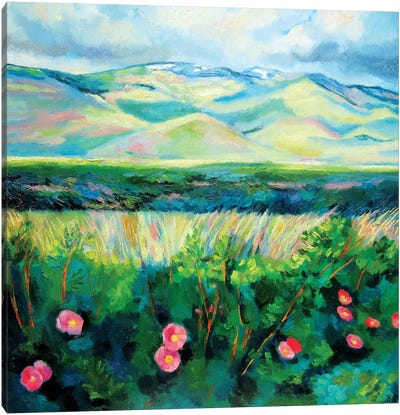 Wild Roses Canvas Art Print - Ieva Baklane