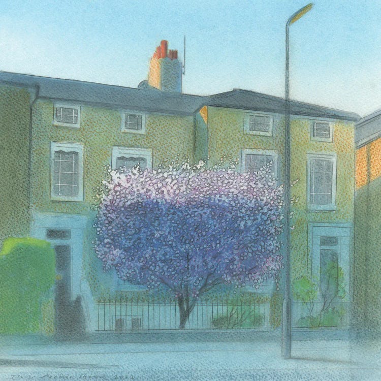 Blossom In Surbiton