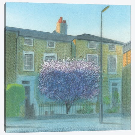 Blossom In Surbiton Canvas Print #IBK12} by Ian Beck Canvas Print