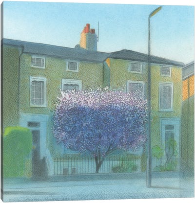 Blossom In Surbiton Canvas Art Print - Ian Beck