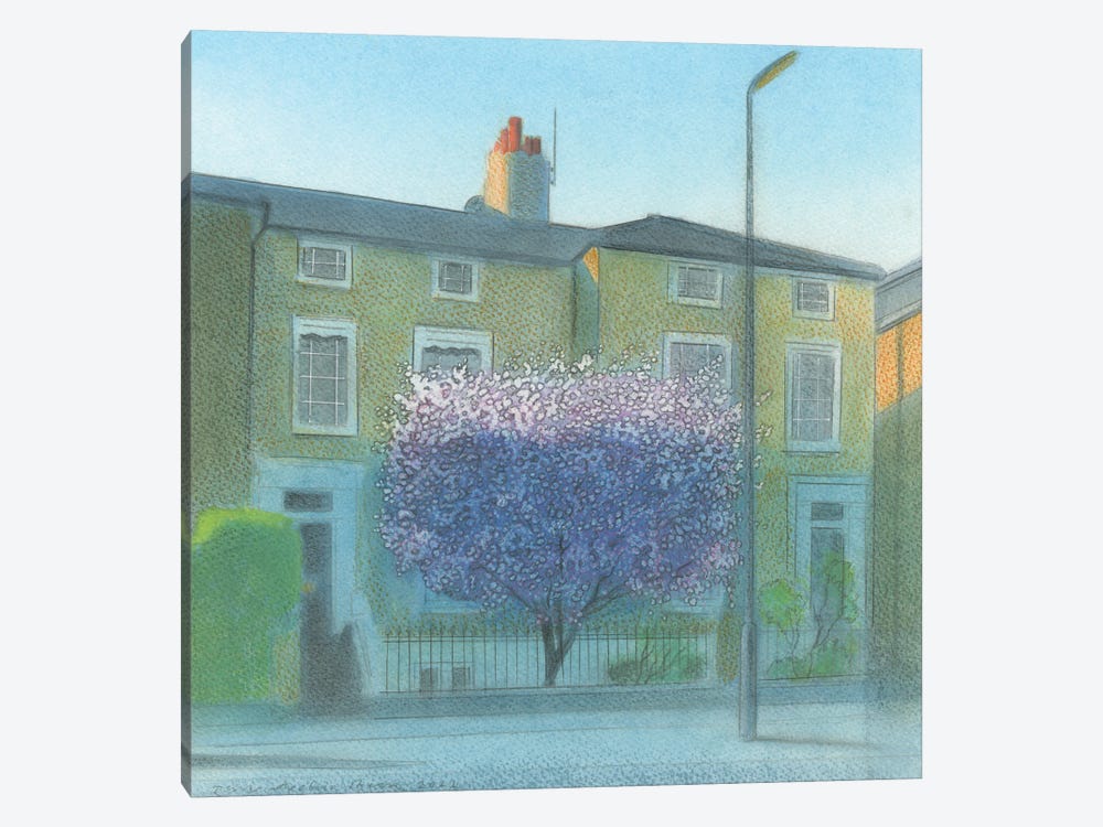 Blossom In Surbiton by Ian Beck 1-piece Canvas Print