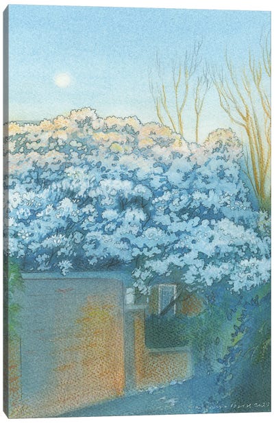 Moonrise April St Margaret's Canvas Art Print - Ian Beck