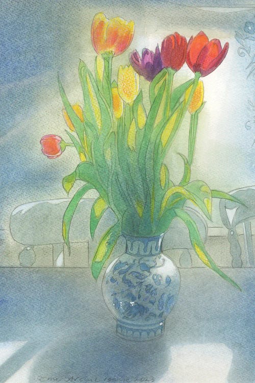 Tulips And Curtain 2023