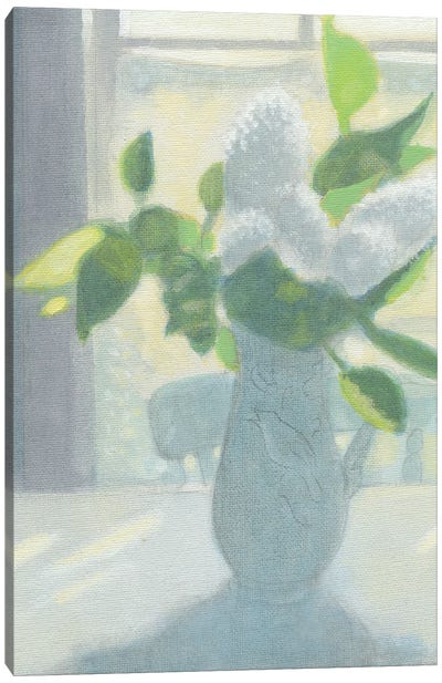 White Lilac Contre Jour 2023 Canvas Art Print - Ian Beck